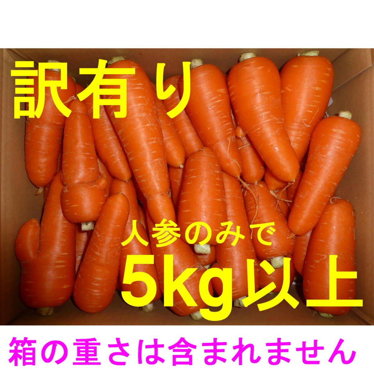 徳島産／ハウス栽培 人参「彩誉」 訳あり品（曲がり・角など） 5kg以上の画像1