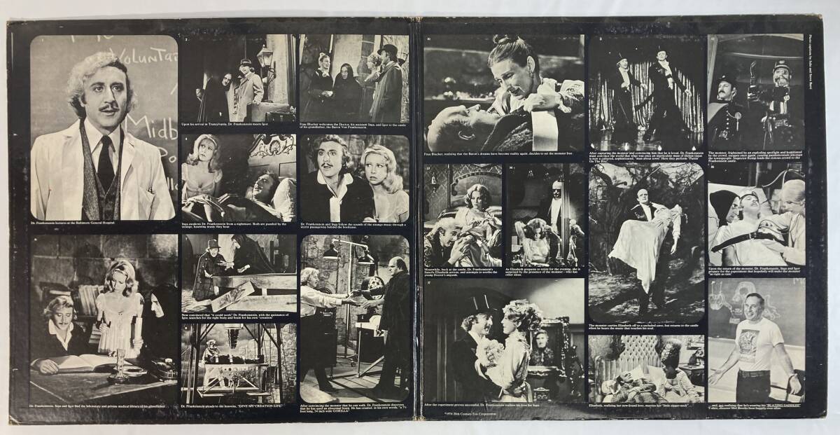 ヤング・フランケンシュタイン (1974) ジョン・モリス 米盤LP abc ABCD-870の画像3