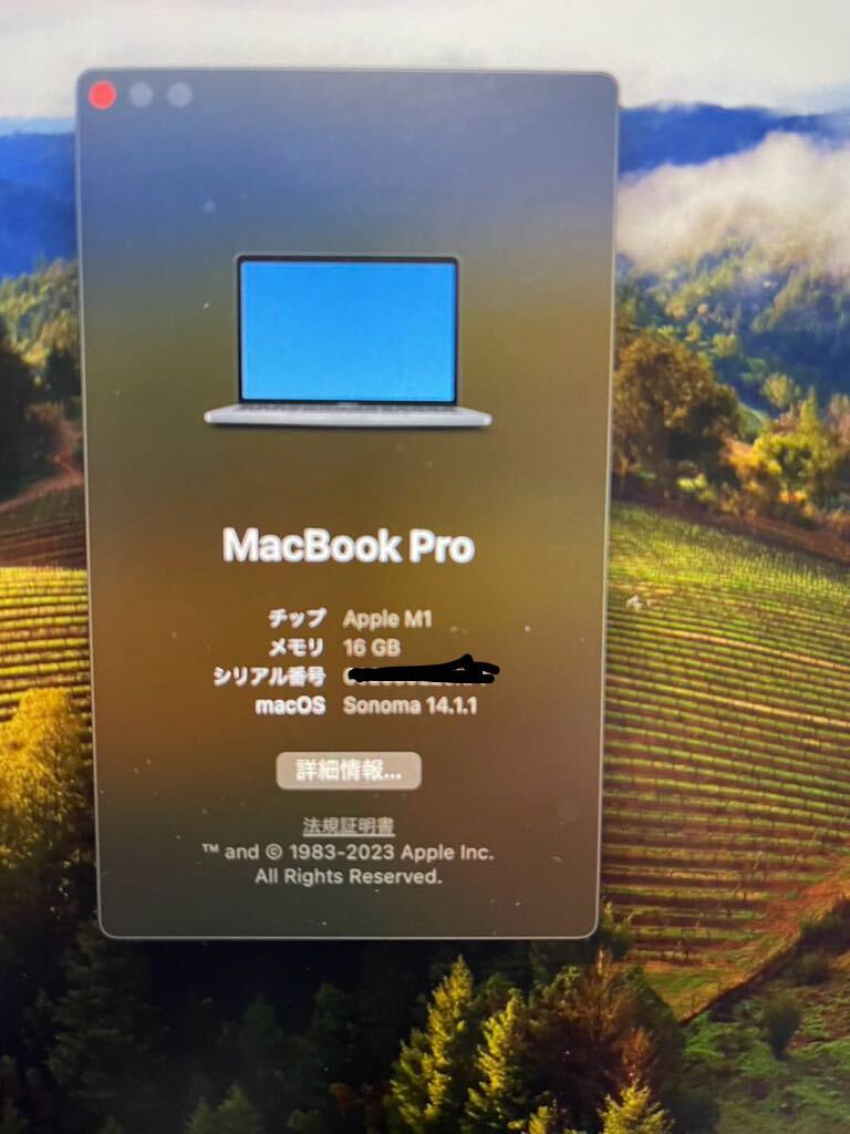 Macbook pro13.3 M1 16GB 1TB_画像2