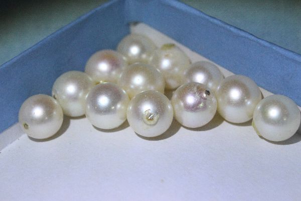 本真珠 アコヤ貝１０．１g★ホワイト系８・０ｍｍ～８．５ｍｍ★１２個の画像4