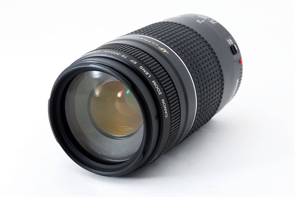 大迫力の300㎜/望遠レンズ/キャノン Canon EF75-300㎜/CANON EF 75-300㎜F4-5.6 III USM ULTRASONIC_画像2