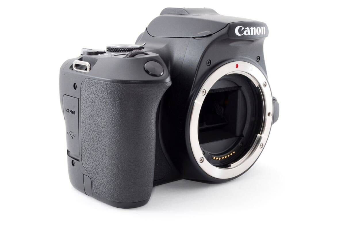 保証付き/キヤノン Canon EOS Kiss X10 デジタル 一眼レフカメラ 標準レンズセット/Canon EF28-80㎜_画像5