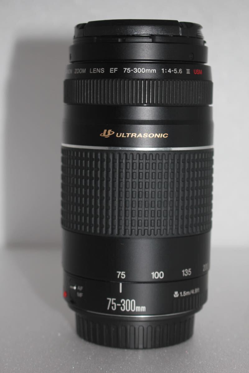 望遠レンズ　キヤノン Canon EF 75-300㎜ F4-5.6 III USM 一眼レフカメラ CANON ZOOM LENS EF 75-300㎜ F4-5.6 III_画像5