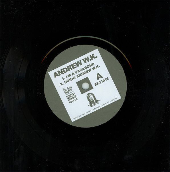 【 Andrew W.K. I'm A Vagabond 】限定Vinyl アンドリュー 一夜入魂! ロッキングオン rockin'on Don Fleming Foo Fighters 山崎洋一郎 絶賛_画像3
