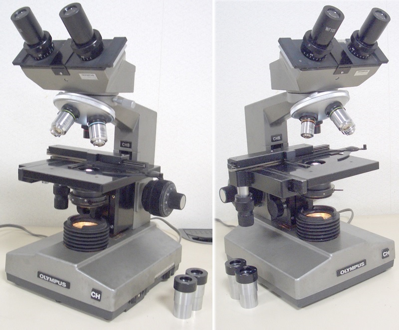  Olympus OLYMPUS. eye living thing microscope CHB superior article clear..