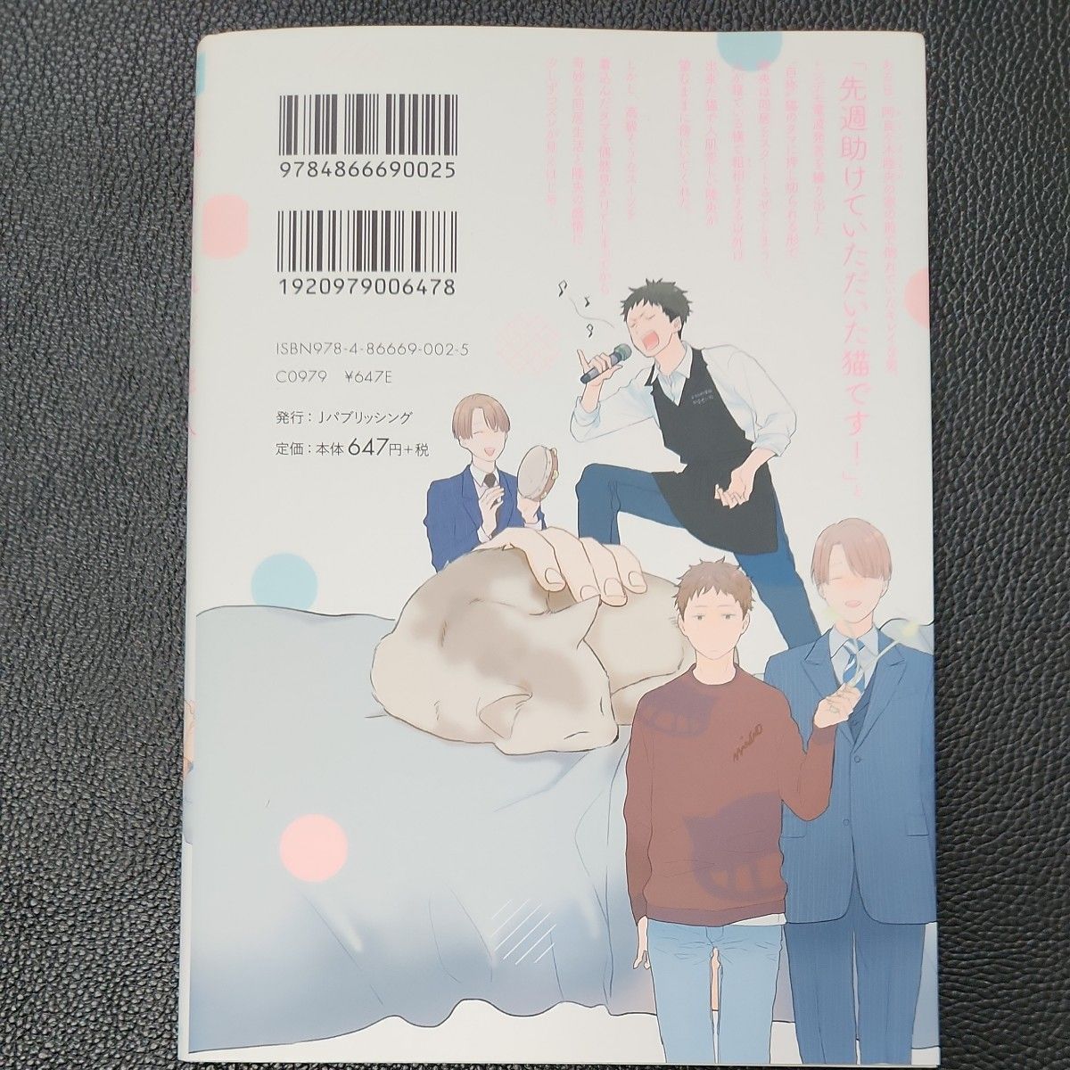 気まぐれご主人とおしかけ猫/ko　/乙女ヤンキーは運命の人を待つ。/泉くれは『2冊』