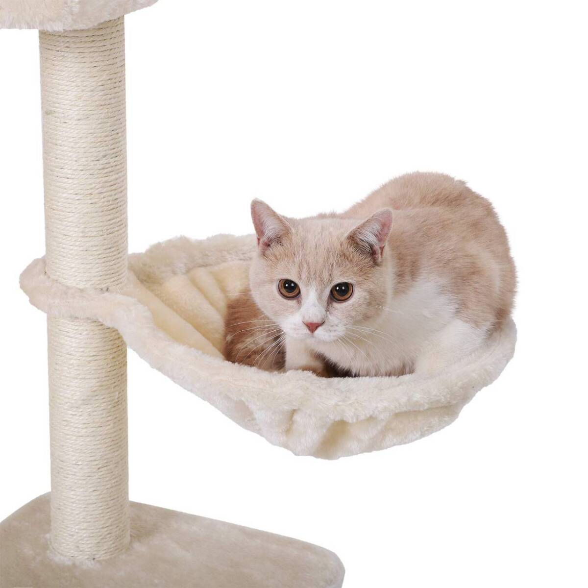 低めの段差があるキャットタワー、子猫やシニア猫に最適