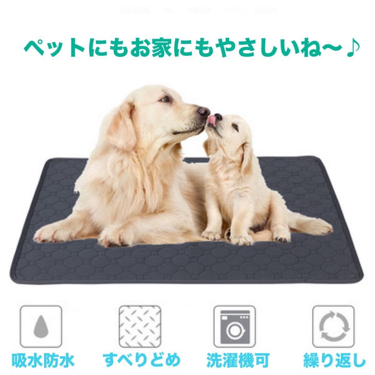 ペット シート 吸水 マット 洗える トイレ 防水 シーツ 犬 猫 トイトレ　トイレトレーニング　おむつ　介護　おねしょ　車　Ｍ