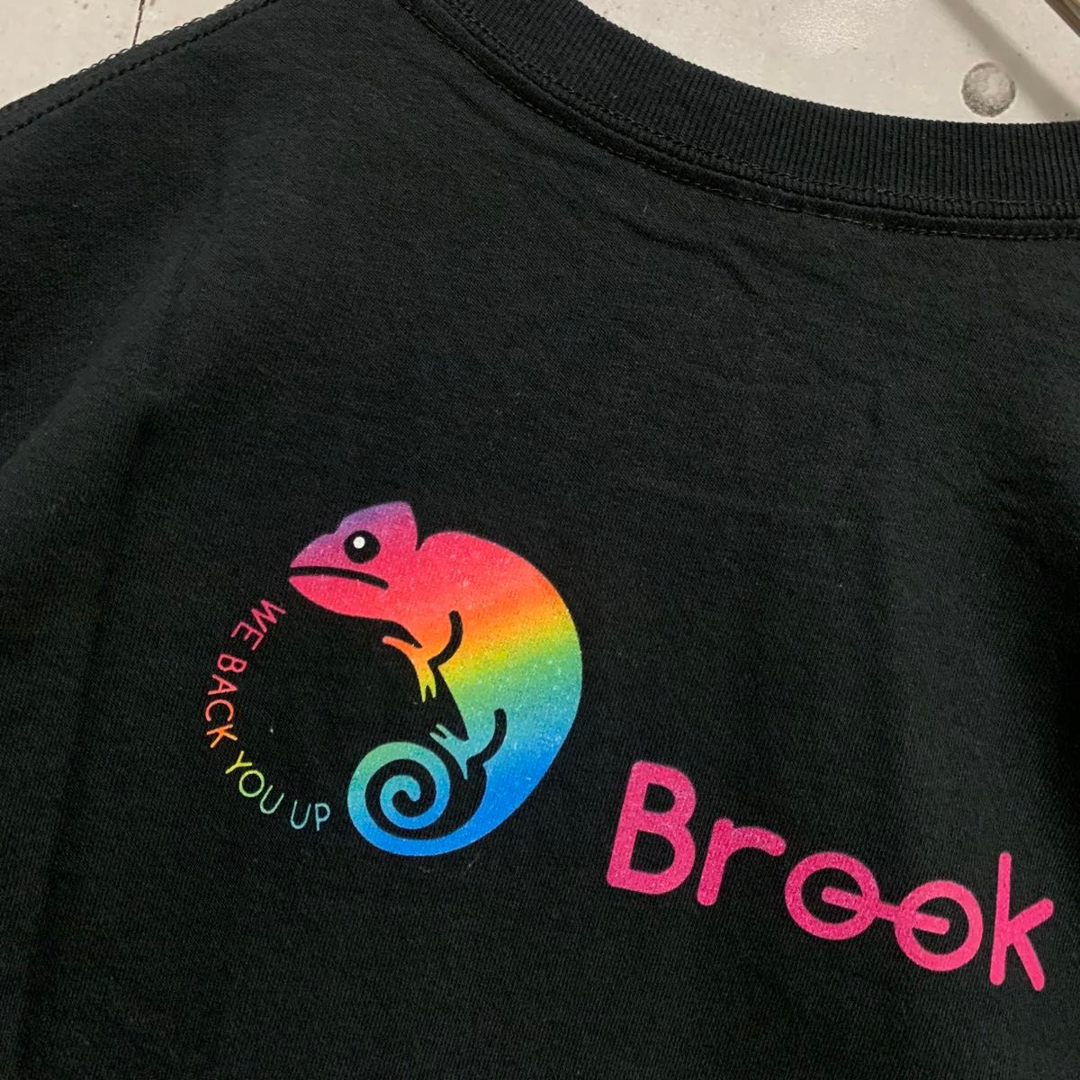 Brookカメレオンビックプリント半袖TシャツM ギルダン未使用 半袖 Tシャツ