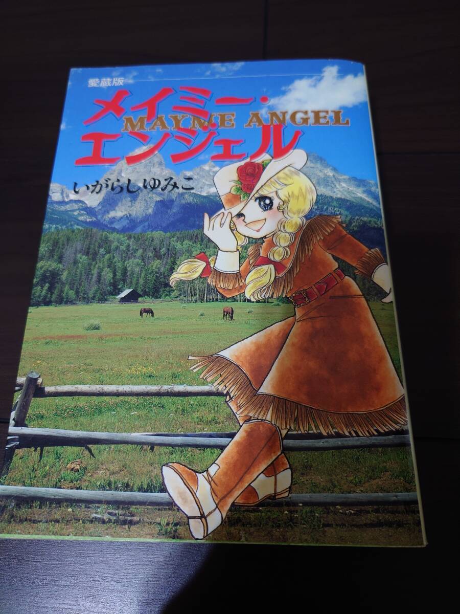 いがらしゆみこ　キャンディキャンディ全9巻、メイミー・エンジェル