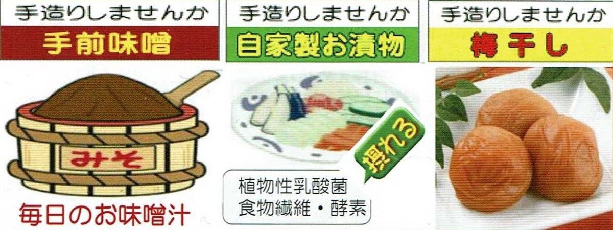 製造過程で全く熱を加えていない生のお塩 天日海塩 × 2個口