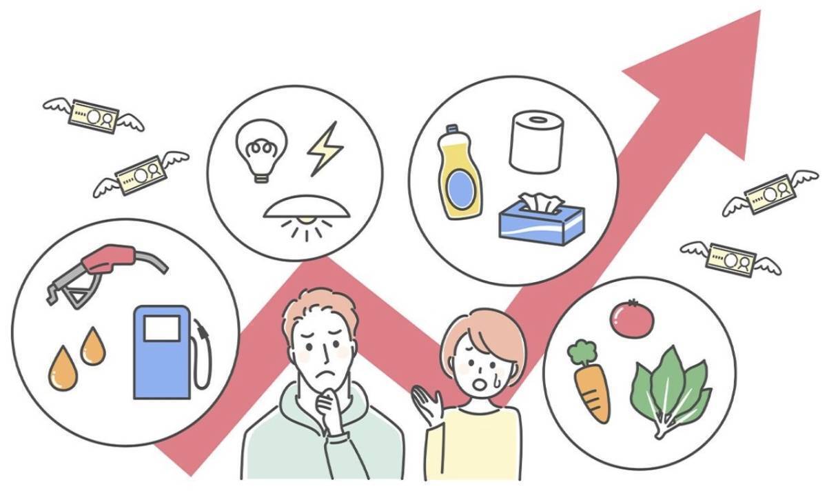 物価の高騰　厳しい消費環境に柔軟に対応出来る方法　上手く行えば収入が支出を上回る　無敵の散財戦略　_画像2