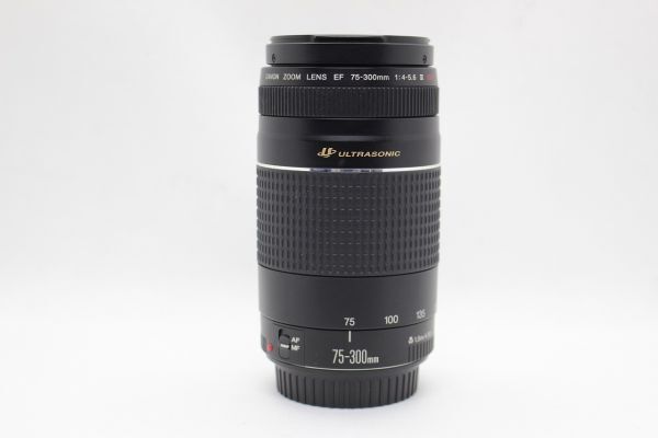 キヤノン Canon EF 75-300mm F4-5.6 III USM 望遠ズームレンズ Lens #Z3365_画像5