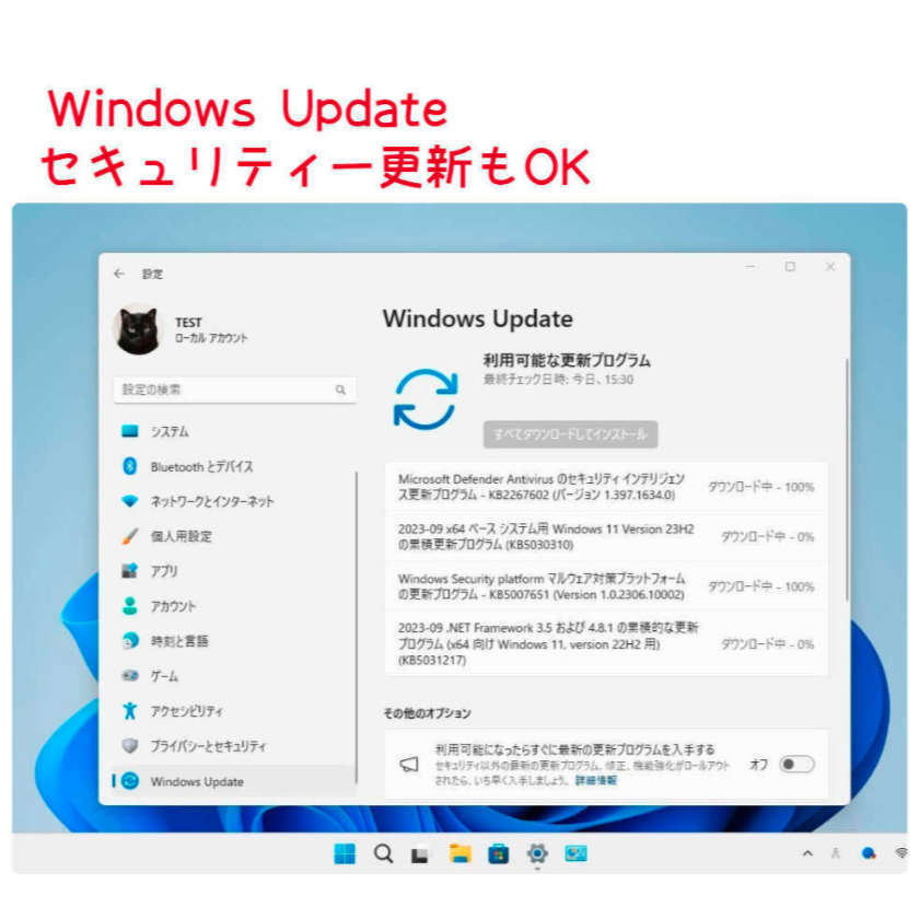 Windows11 最新Ver23H2 クリーンインストール＆アップグレード対応 USBメモリ 低年式パソコン対応 (64bit日本語版)_画像3