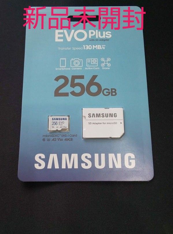 EVO Plus MB-MC256KA/IT （256GB） ［2021年モデル］