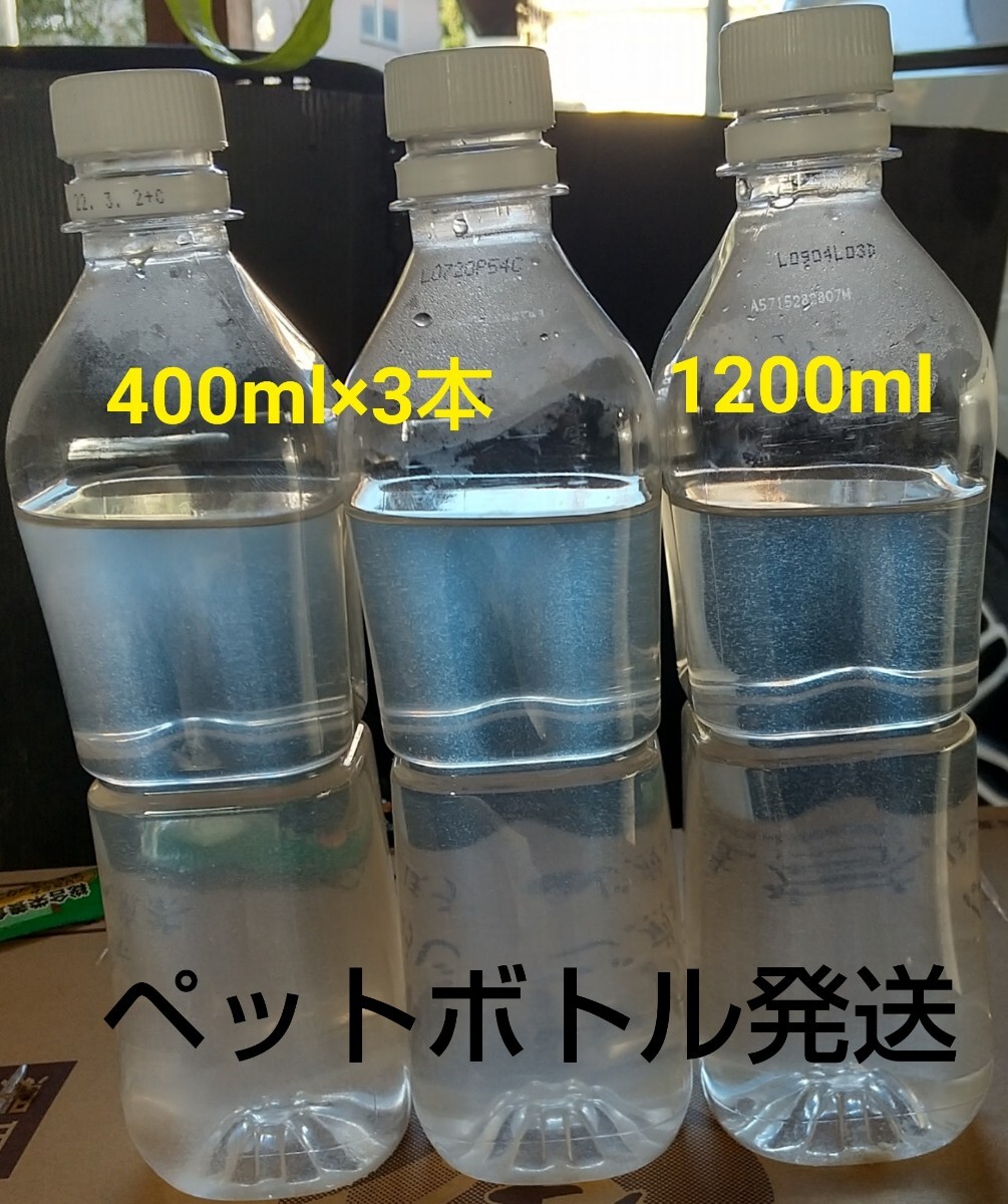 ゾウリムシ　1200ml　メダカや金魚やミジンコの餌。 らんちゅう_画像1