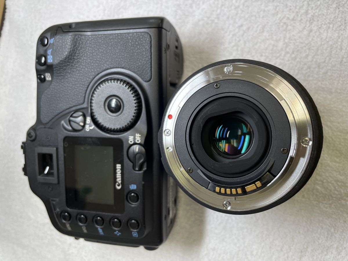 Canon EOS 10D / SIGMA ZOOM 17-35mm F2.8-4の画像2