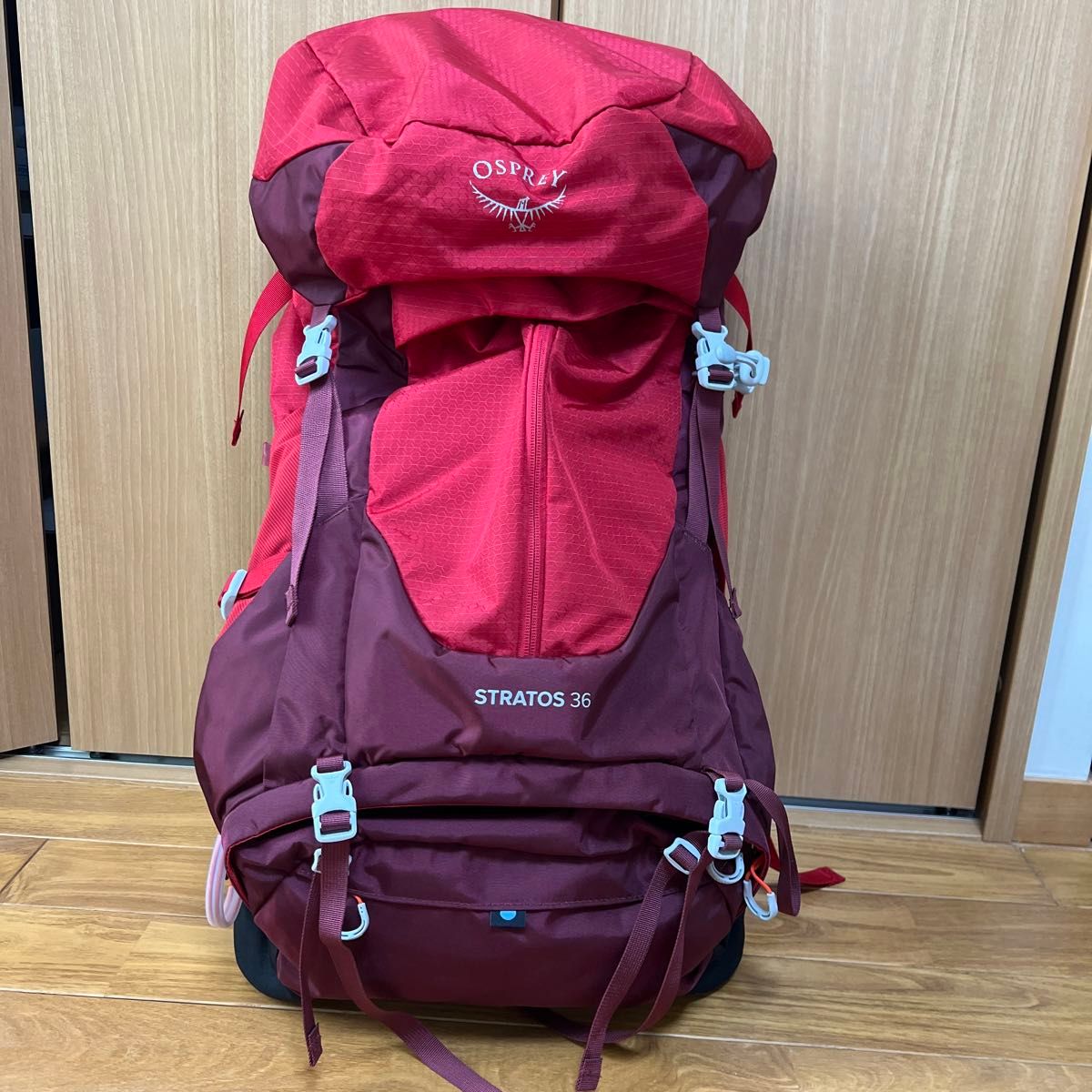 極美品 OSPREY STRATOS 36 オスプレイ ストラトス 36 ポインセチアレッド