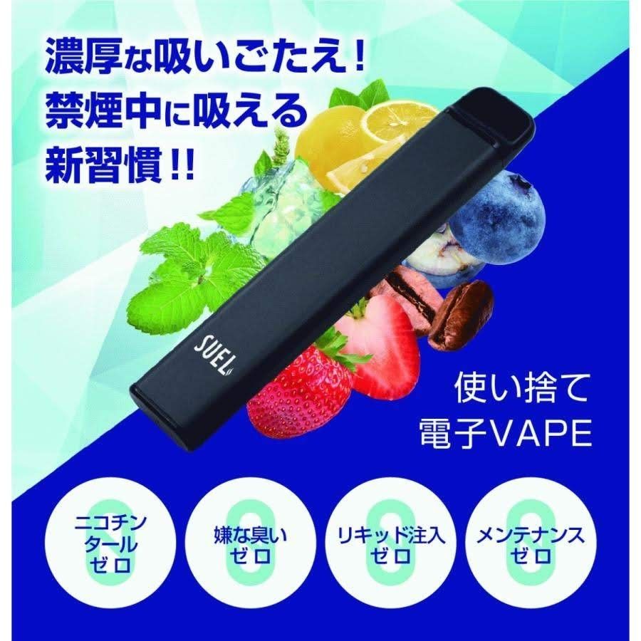 電子VAPE 2本セット SUEL ブルーベリー ニコチン0 タール0 使い捨て 電子タバコ