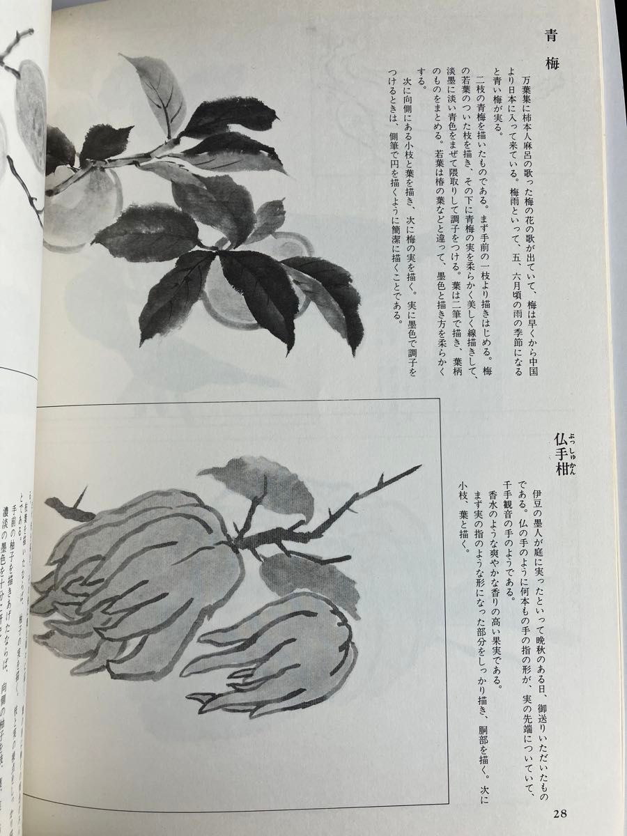 季刊　水墨画　野菜・草虫の描法　墨絵　中古雑誌　水墨画専門誌　美品