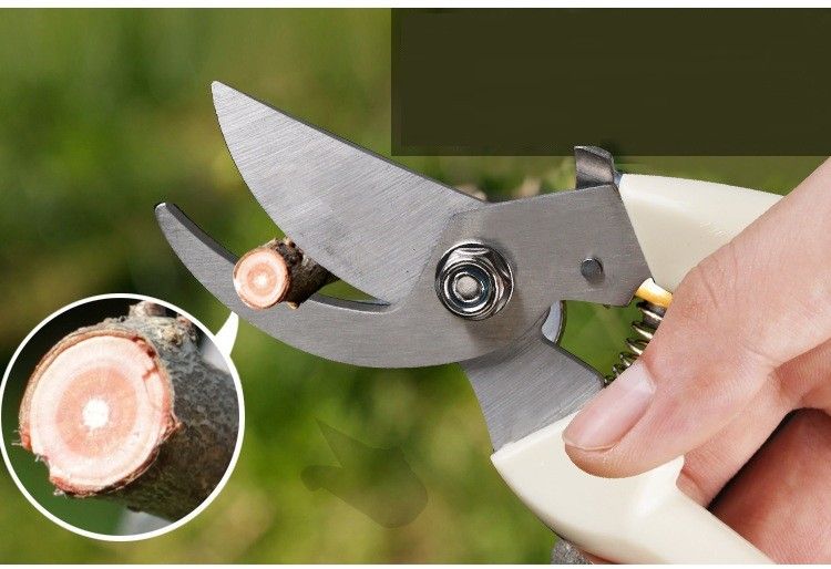 1点剪定ばさみ 園芸はさみ  剪定鋏ハサミ 使いやす  剪定鋏さびない 角度調整可能 剪定 園芸用ナイフ ステンレスはさみ