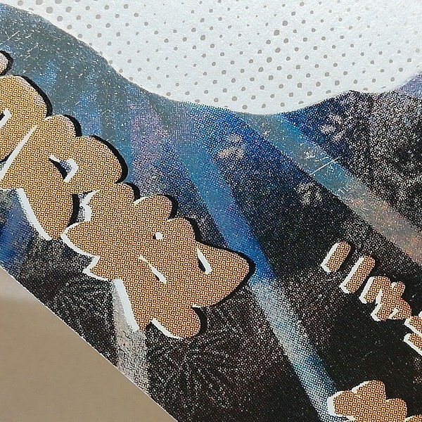 sB466o [当時物] BBM'99下半期版 大相撲カード SS-2 若乃花勝 白星カード 計2枚 | スポーツカードの画像6