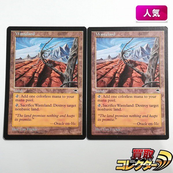 sB507o [人気] MTG 不毛の大地 Wasteland テンペスト TMP 英語版 計2枚の画像1