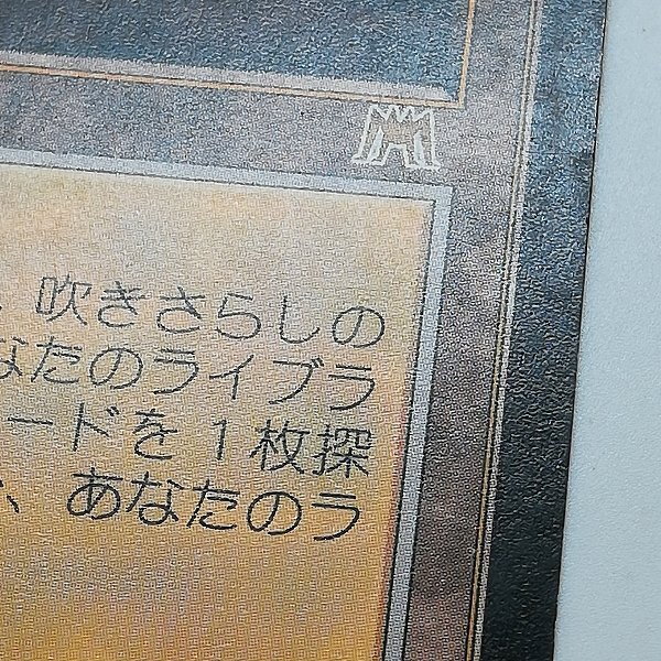 sD811o [人気] MTG 吹きさらしの荒野 Windswept Heath オンスロート ONS 計2枚 日本語版の画像10