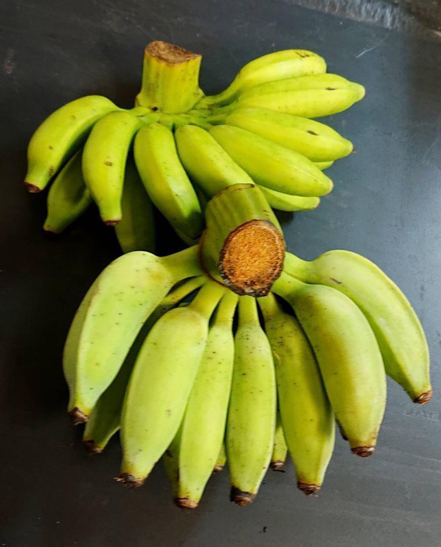 沖縄本島北部やんばる産 「島バナナ」「アップルバナナ」バナナセット！の画像1