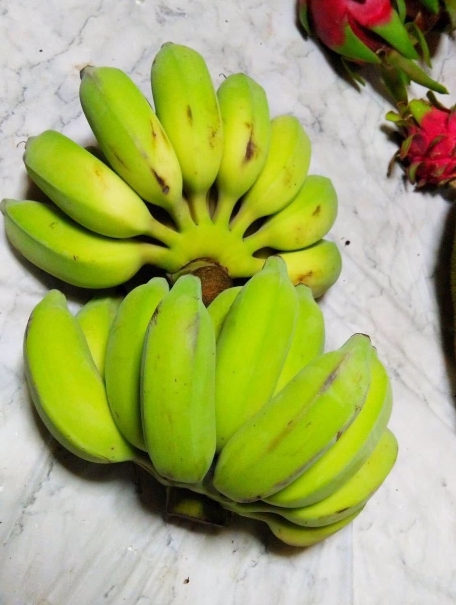 入手困難！！キングオブバナナ！農薬不使用！！沖縄産ナムワバナナおまかせコンパクトでお届け！！の画像3