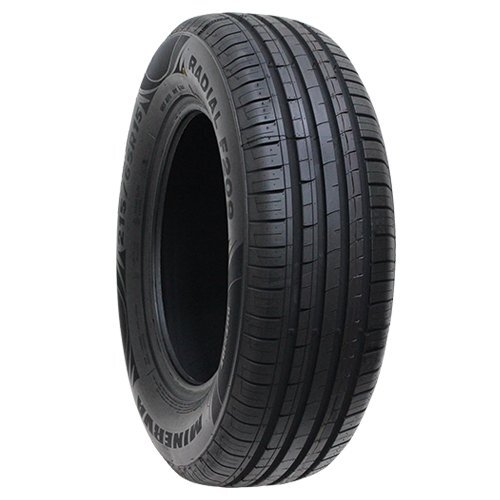 新品 205/55R16 MINERVA ミネルバ F209 205/55-16 ★全力値引きセール★_画像2