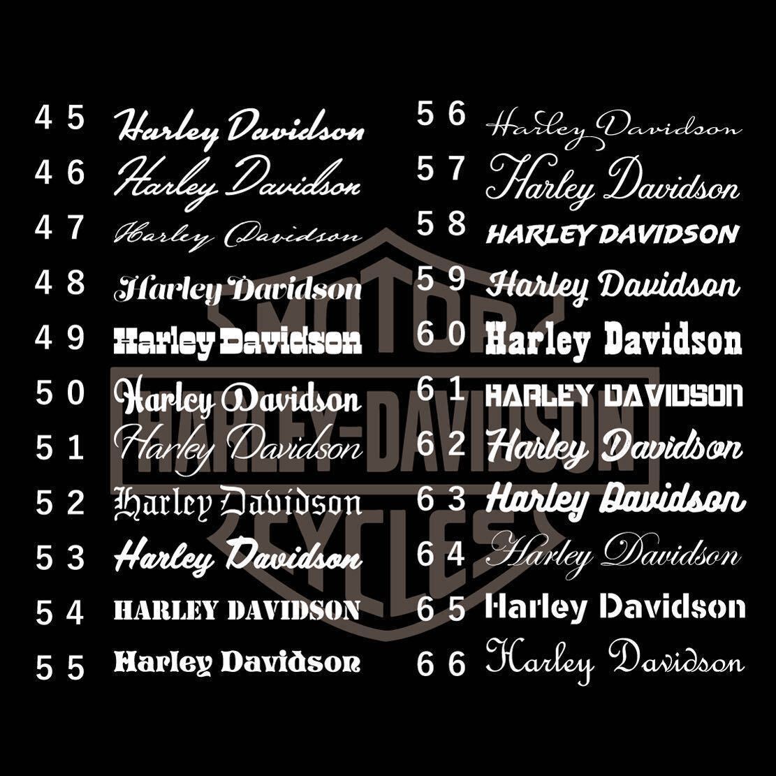 ハーレーダビッドソン系ステッカー カッティングステッカー カスタムステッカー オリジナルステッカー Harley-Davidsonの画像4