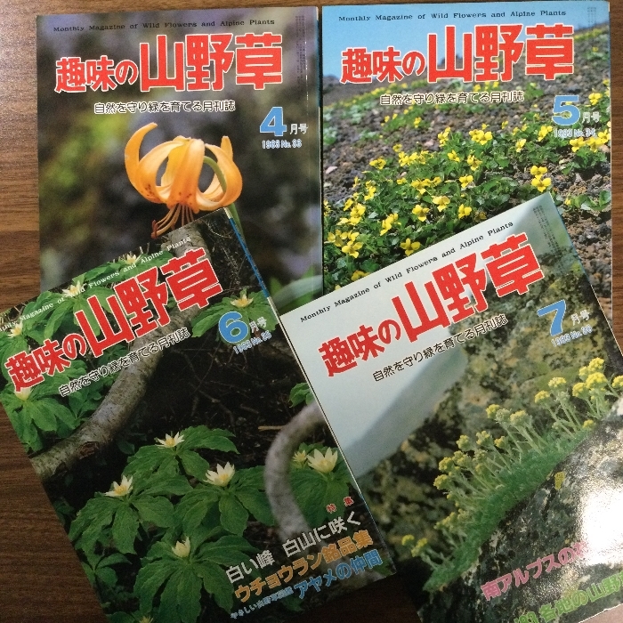 趣味の山野草　1981年８月号〜1983年１２月号　抜けなし　29冊　まとめ売り　大量　月刊さつき研究所_画像7