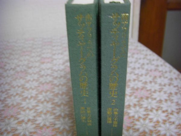 平凡社 東洋文庫 南アフリカでのサッティヤーグラハの歴史 全2冊揃 非暴力服従運動の誕生 MKガーンディー B58_画像2