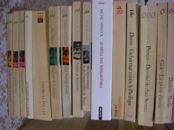 フランス文学哲学洋書 100冊 Proust、Chomsky、Yves Bonnefoy、Paul Claudel、Nietzsche、Pascal、Jean Cohen、Michel Winock 他 A7の画像2