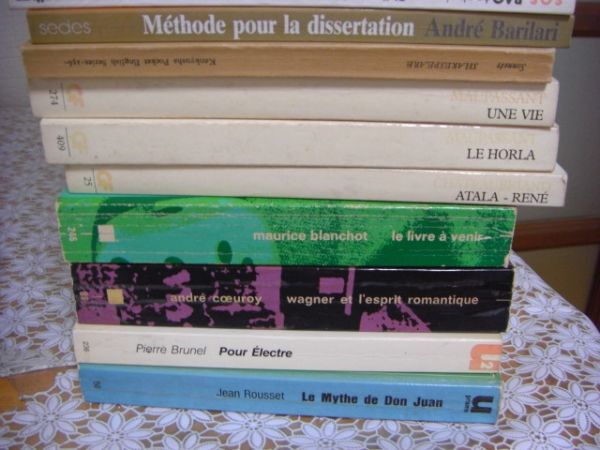 フランス文学哲学洋書 100冊 Proust、Chomsky、Yves Bonnefoy、Paul Claudel、Nietzsche、Pascal、Jean Cohen、Michel Winock 他 A7の画像6