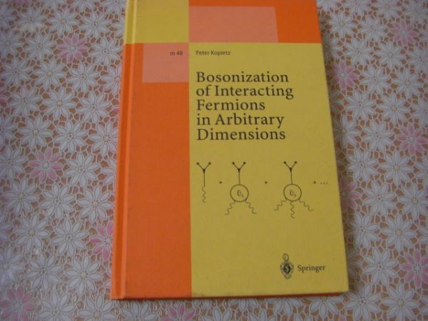 物理洋書 Bosonization of interacting fermions in arbitrary dimensions 任意の次元での相互作用するフェルミオンのボソン化 A82の画像1
