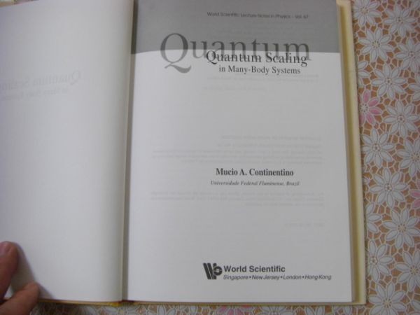 物理洋書 Quantum scaling in many-body systems 多体系における量子スケーリング A64の画像3