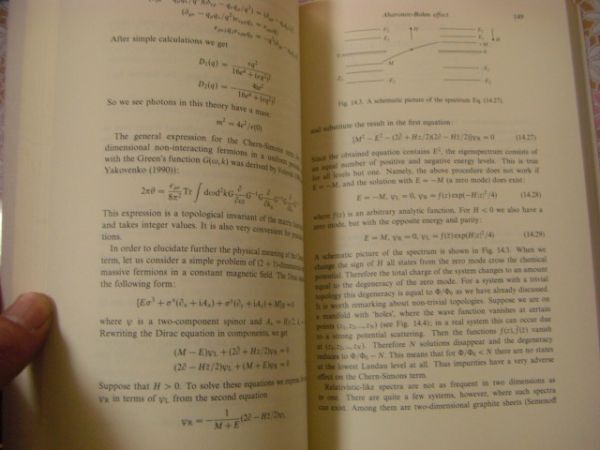物理洋書 5冊 Quantum Field Theory 場の量子論 Quantum Field Theory in Condensed Matter Physics 他 NN.Bogoliubov A55