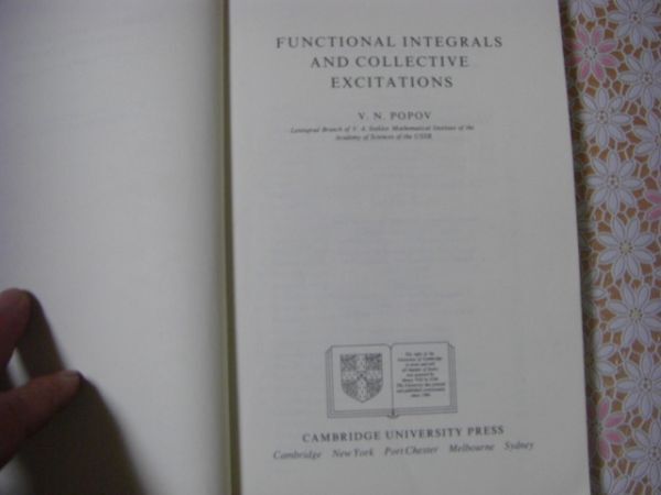 物理洋書 Functional integrals and collective excitations 関数積分と集団励起 V.N. Popov ポポフ A47