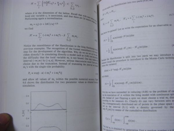 物理洋書 Computer simulation methods in theoretical physics 理論物理学におけるコンピュータシミュレーション手法 A43_画像7