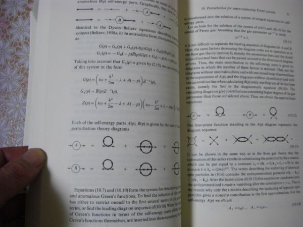 物理洋書 Functional integrals and collective excitations 関数積分と集団励起 V.N. Popov ヴィクトル・ニコラエヴィチ・ポポフ A28_画像6