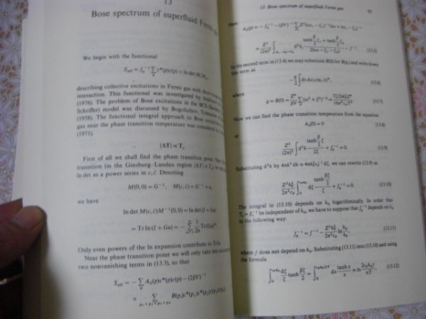 物理洋書 Functional integrals and collective excitations 関数積分と集団励起 V.N. Popov ヴィクトル・ニコラエヴィチ・ポポフ A28_画像5