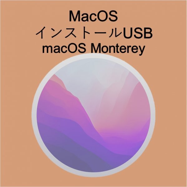 (v12) macOS Montereyインストール用USB [1]の画像1