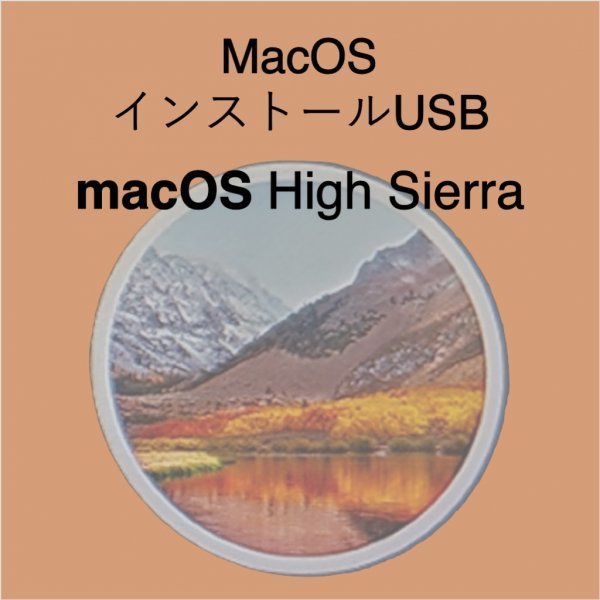 (v10.13) macOS High Sierra インストール用USB [1]の画像1