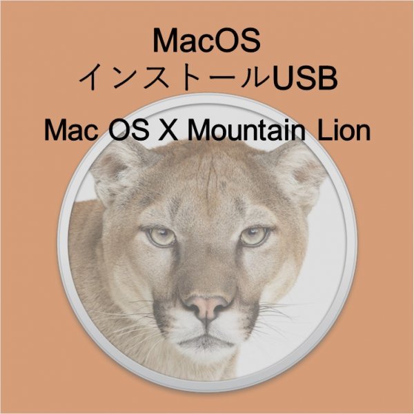 (v10.08) OS X Mountain Lion インストール用USB [2]の画像1