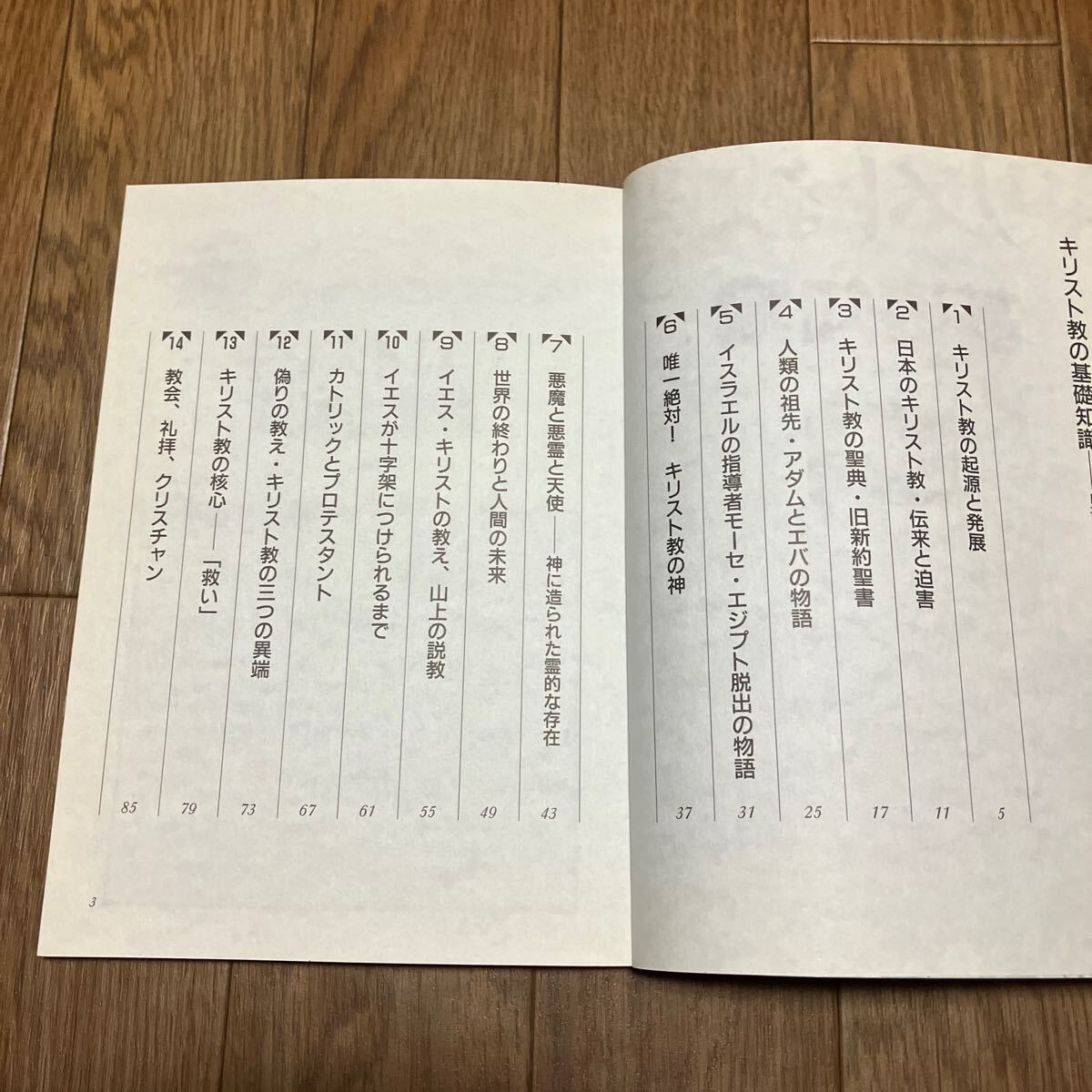 キリスト教の基礎知識 ミーニングBOOKS 2 辻潤 新生出版社 聖書 起源 伝来と迫害 イエス・キリスト カトリックとプロテスタント_画像5