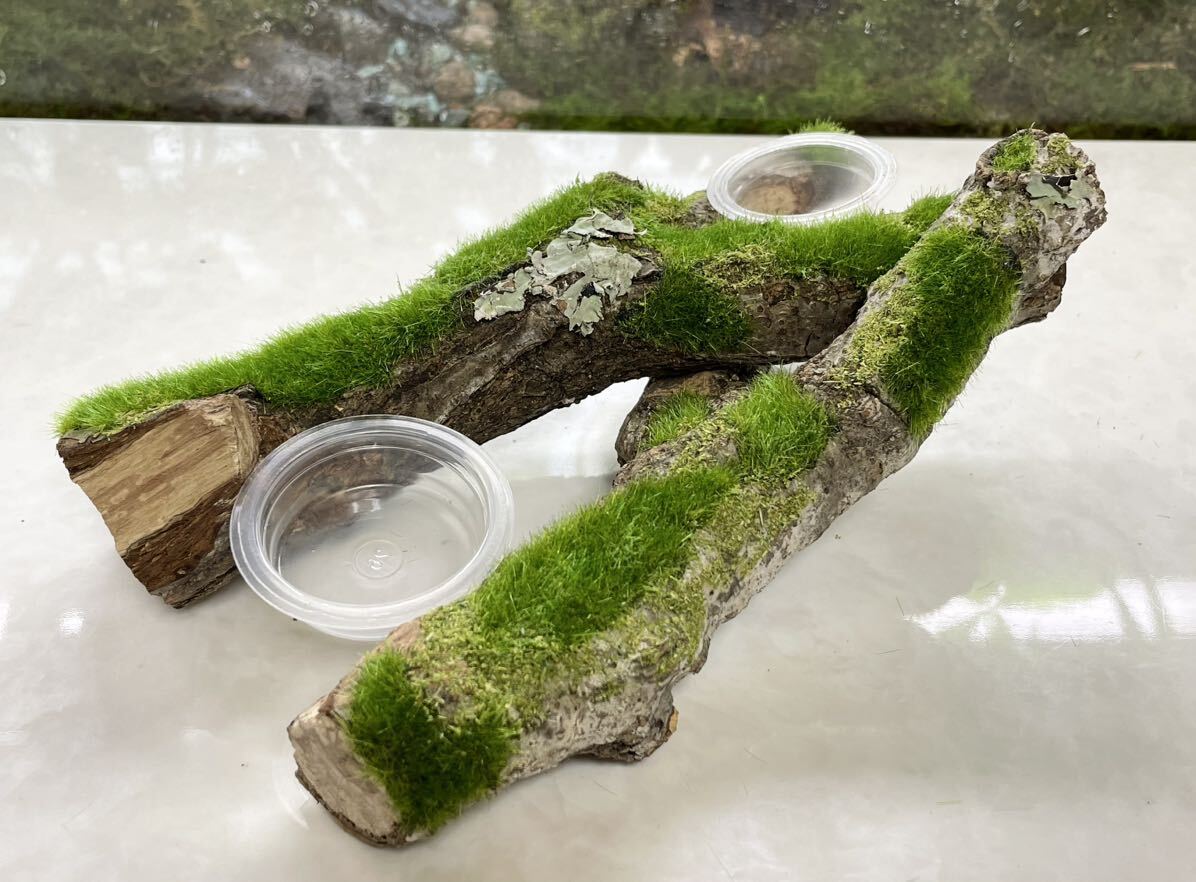 [KAZUOKI натуральное дерево ] новые ощущения [ geo лама способ серии No.112][... палка ]&[ обеденный стол ] комплект!