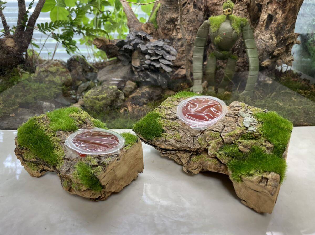 【KAZUOKI天然木】新感覚『ジオラマ風シリーズNo.106』【森のダイニングテーブル】2セットの画像1