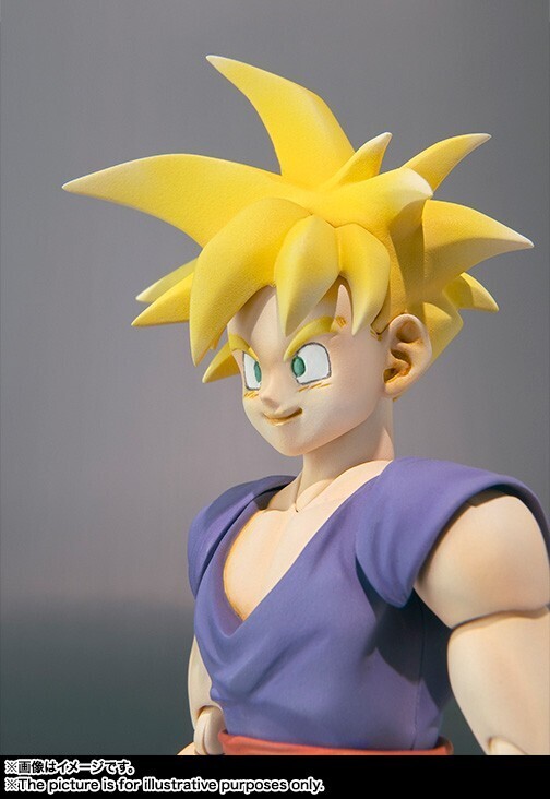 【1円〜】S.H.Figuarts ドラゴンボール ピッコロ 孫悟飯 SH フィギュアーツ BANDAI SPIRITS ドラゴンボールZ KAI 改 鳥山明_画像8